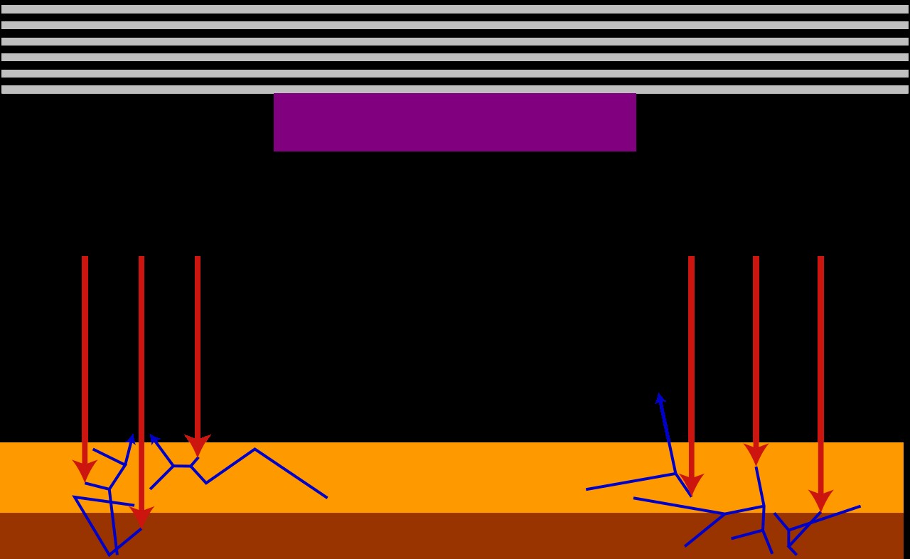 Washington Suspects ASML’s Most Advanced Chip Tool Reached China. ASML Says No.